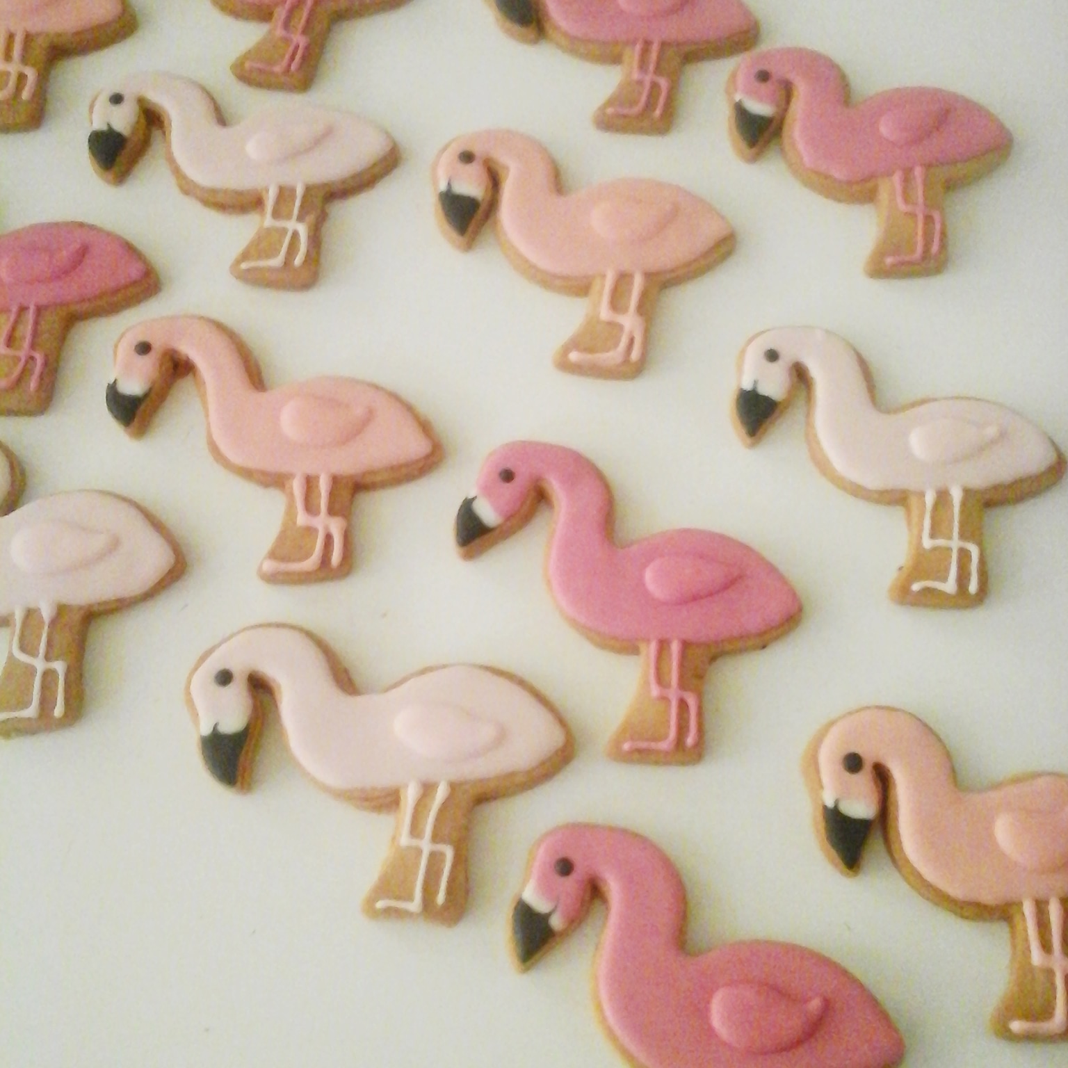 flamingo koekjes / flamingo cookies
