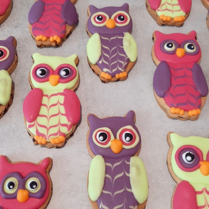 Uilen koeken in paars,groen en roze / owl cookies